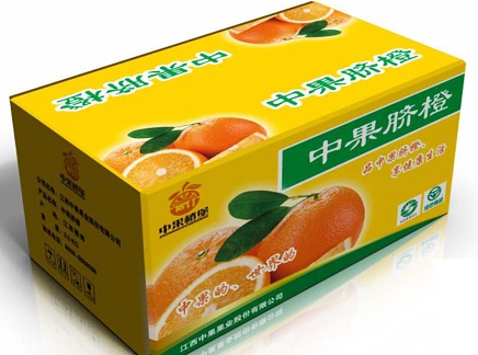 开封半岛中文网官网入口
