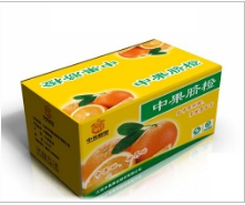 开封半岛中文网官网入口
